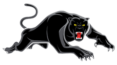 Penrith Panthers
