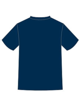 SALE SALE SALE     Brisbane Lions Adults 2024 Premiership Tee