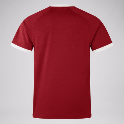 SALE SALE SALE                              British & Irish Lions 2025 Jersey