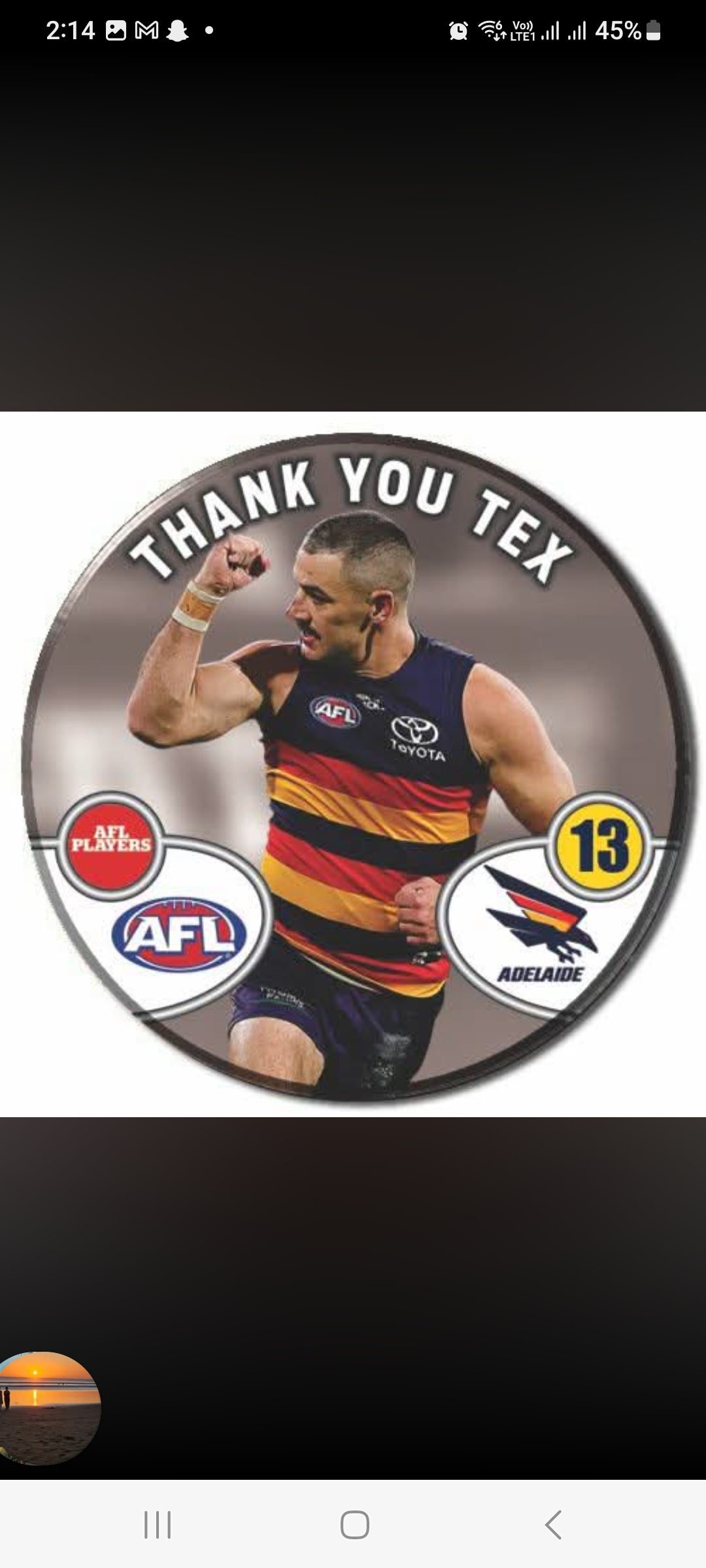 Adelaide Crows Tex Walker Retirement Badge