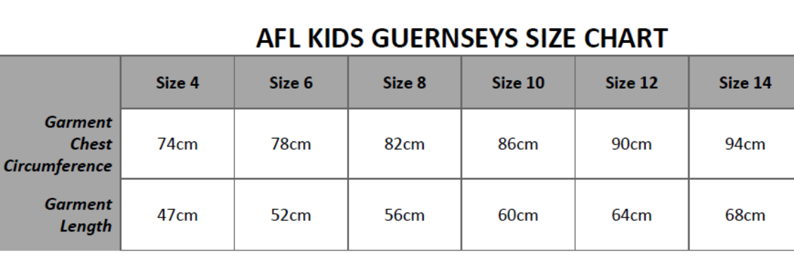 SALE SALE SALE   Melbourne Demons Kids Guernsey
